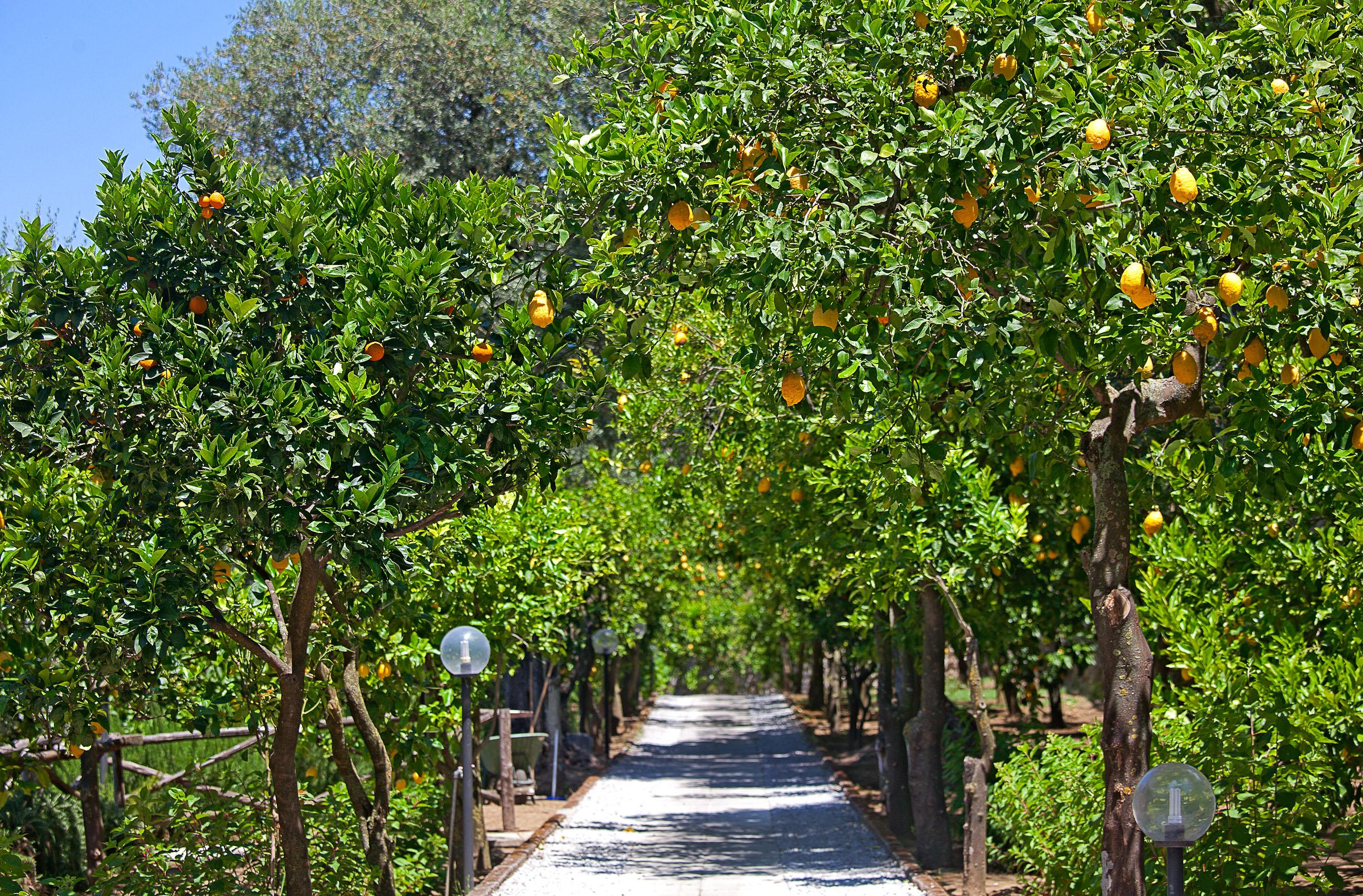 Oriana Relais Bed and breakfast
