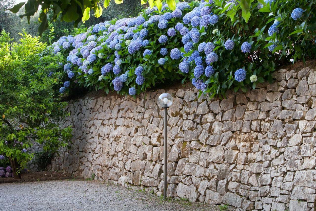 Bed and breakfast Oriana Relais